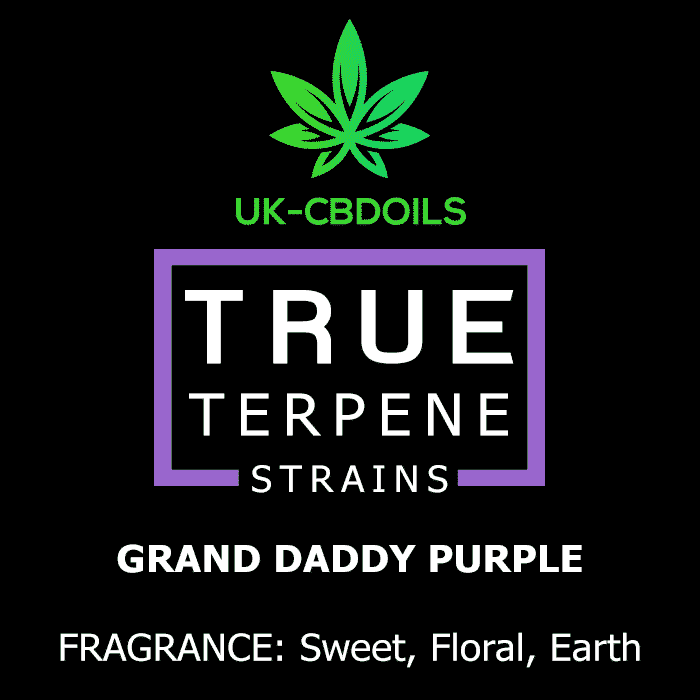 grand daddy purple terpene uk
